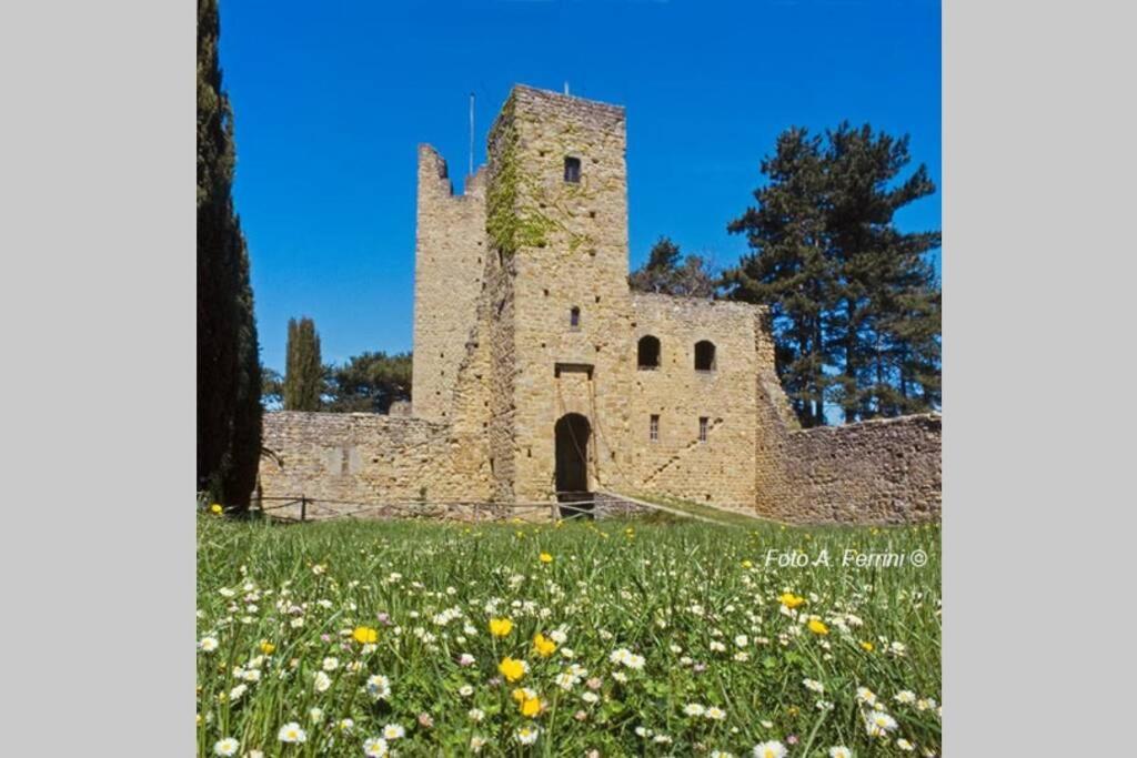 Villa Liz Tuscany, Private Pool, Hot Tub, Property Fenced, Pets Allowed Poppi Extérieur photo
