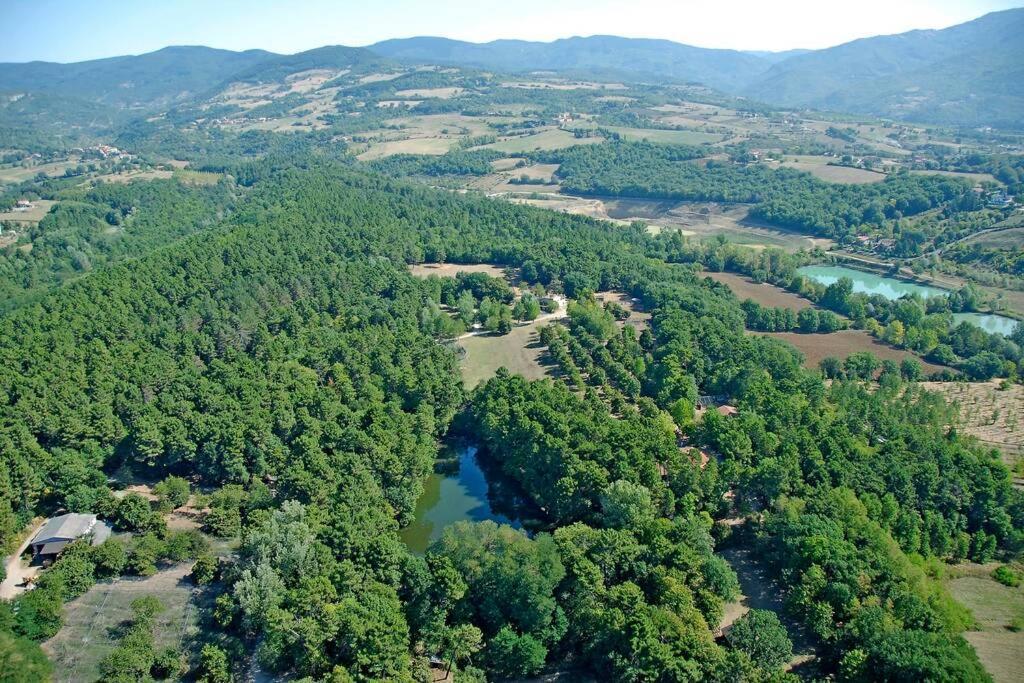 Villa Liz Tuscany, Private Pool, Hot Tub, Property Fenced, Pets Allowed Poppi Extérieur photo