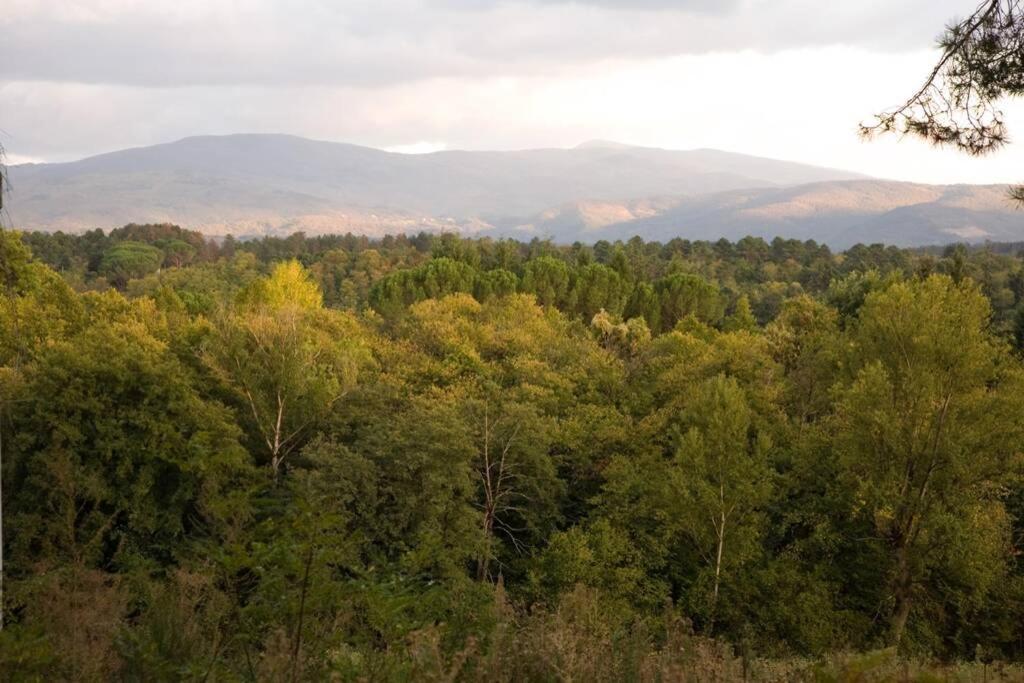 Villa Liz Tuscany, Private Pool, Hot Tub, Property Fenced, Pets Allowed Poppi Extérieur photo
